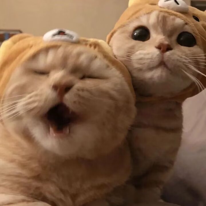 新轮播图